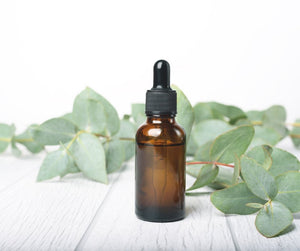 Eucalyptus Essential Oil: More Than Just a Pleasant Scent - Vegelia - Sunrider products for a healthy lifestyle